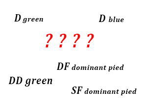 D, DD, SF, DF - co to za oznaczenia?