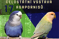 Wystawa nierozłączek - Brno 2025r.